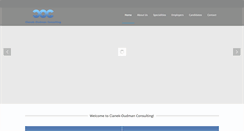Desktop Screenshot of cianek-oudmanconsulting.com
